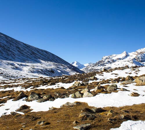 Yumthang 5 days & 4 nights package tour