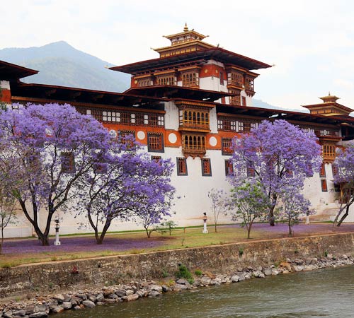 Discover Bhutan Tour - 8 Days