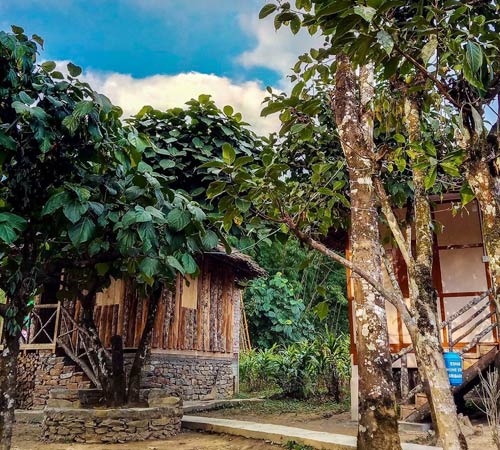 Sikkim Himalayan homestay