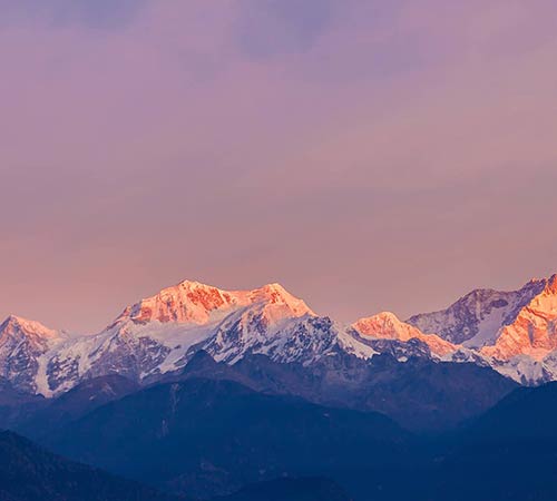 Luxury Darjeeling Tour