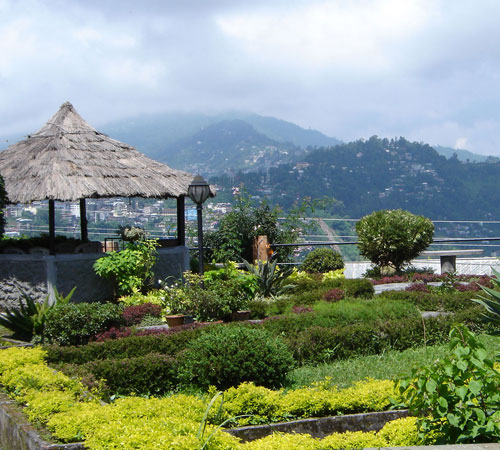 Marvelous Darjeeling Tour