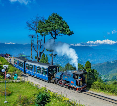 Delightful Darjeeling Tour